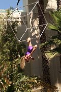 IMG_0501 