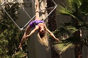 IMG_0533 