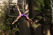 IMG_0537 
