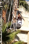 IMG_2542 