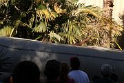 IMG_2585 