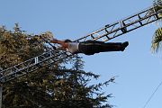 IMG_3479 