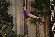 IMG_4206 
