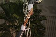 IMG_4226 
