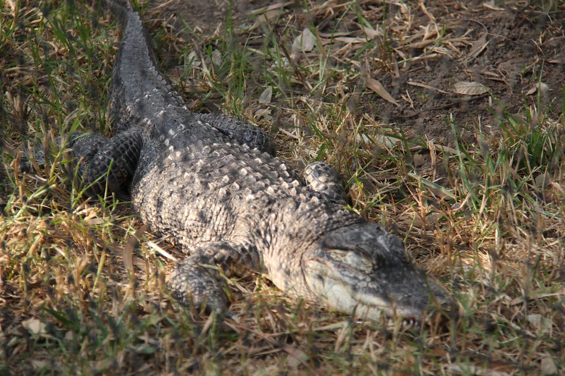 IMG_3014