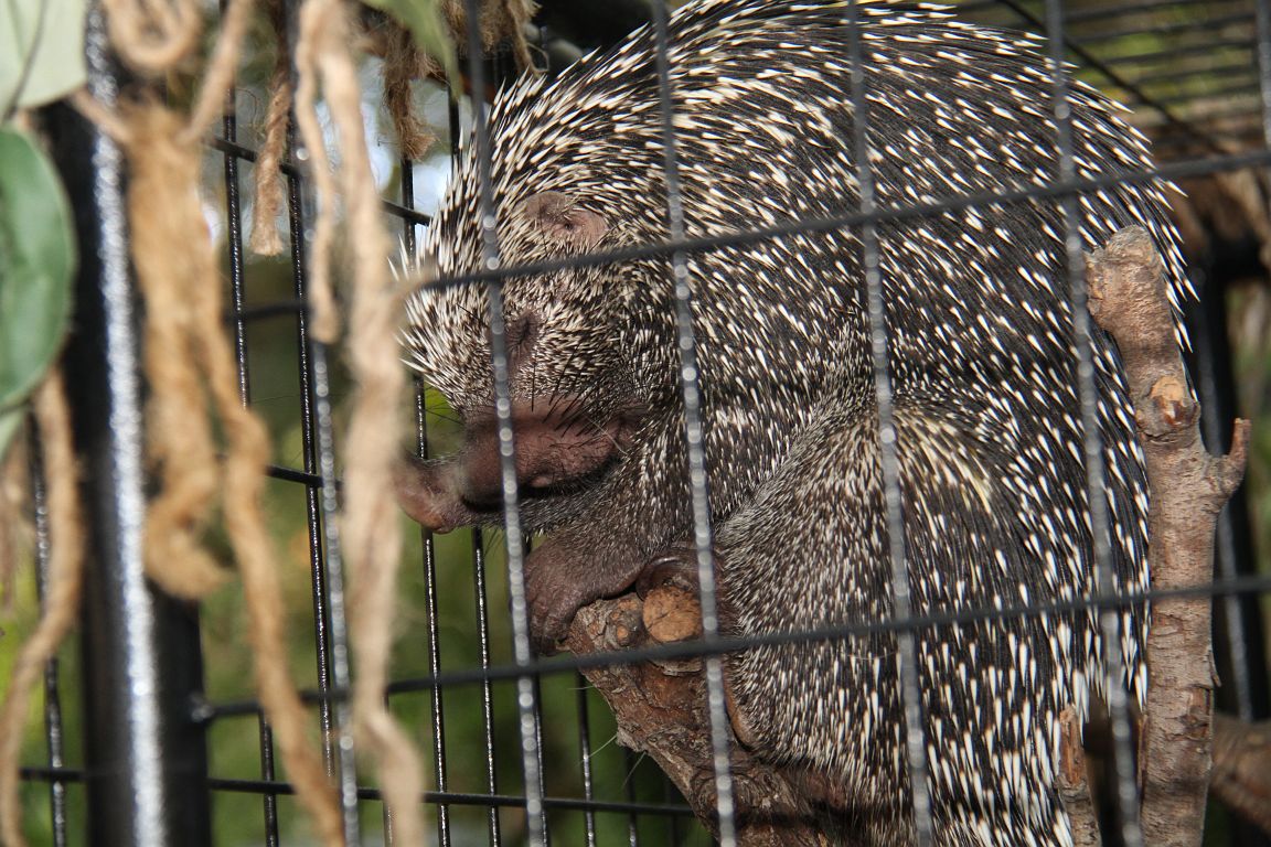 IMG_3025