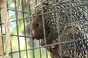 IMG_3015 