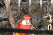 IMG_3042 
