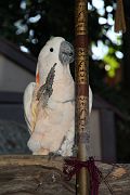 IMG_3044 