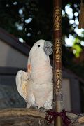 IMG_3045 