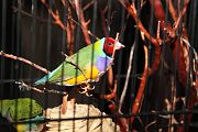 IMG_3047 