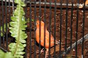 IMG_3049 