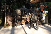 IMG_3050 