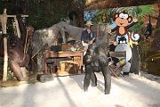 IMG_3051 
