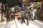 IMG_3052 