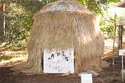 IMG_3055 