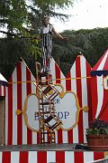 IMG_3911 