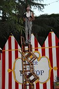 IMG_3917 