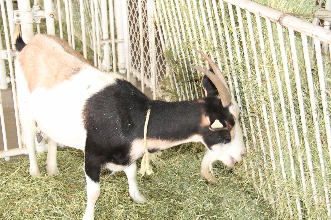 IMG_4281
