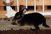IMG_4340 
