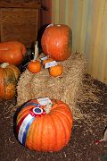 IMG_4344 