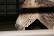IMG_4356 
