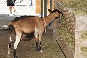 IMG_4413 