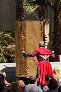 IMG_4717 