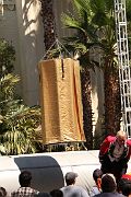 IMG_4729 