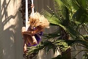 IMG_4753 