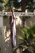 IMG_4798 