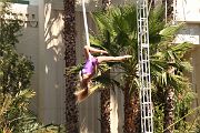 IMG_4828 