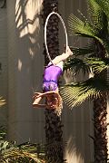 IMG_4861 