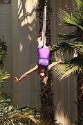 IMG_4862 