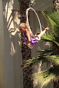 IMG_5407 