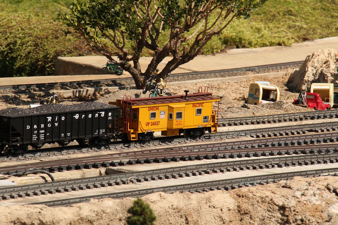 IMG_5439