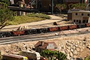 IMG_5436 