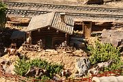 IMG_5496 