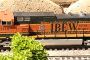 IMG_5504 