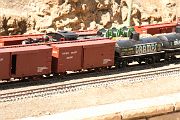 IMG_5528 