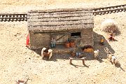 IMG_5549 