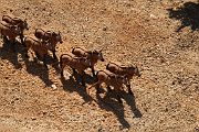 IMG_5551 