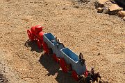 IMG_5554 