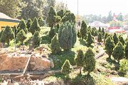 IMG_5557 