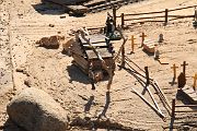 IMG_5558 