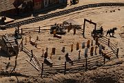 IMG_5559 