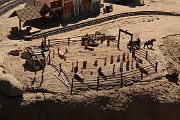 IMG_5560 