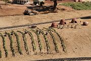IMG_5581 