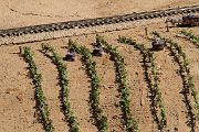 IMG_5583 