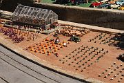 IMG_5585 